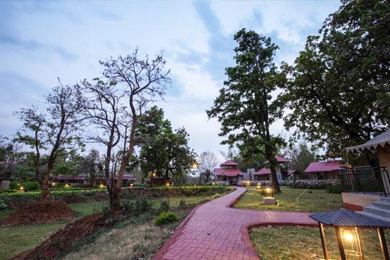 Mint-Resort-Bandhavgarh