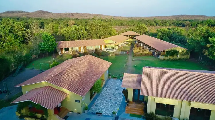 asiatic lion lodge view