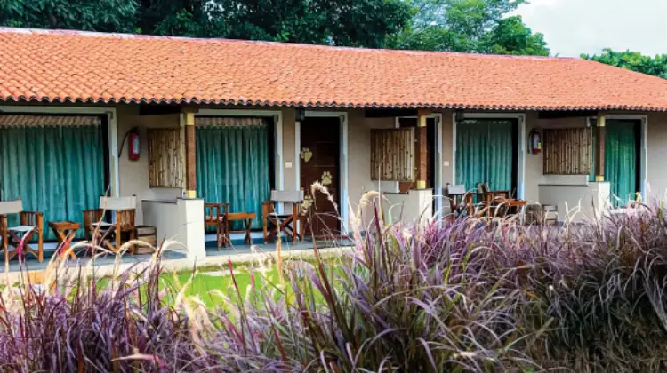 Asiatic lion lodge (cottage view)