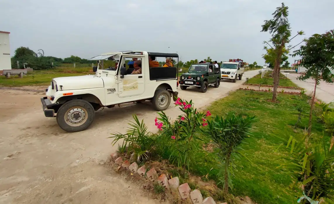 desert-safari-little-rann-of-kutch