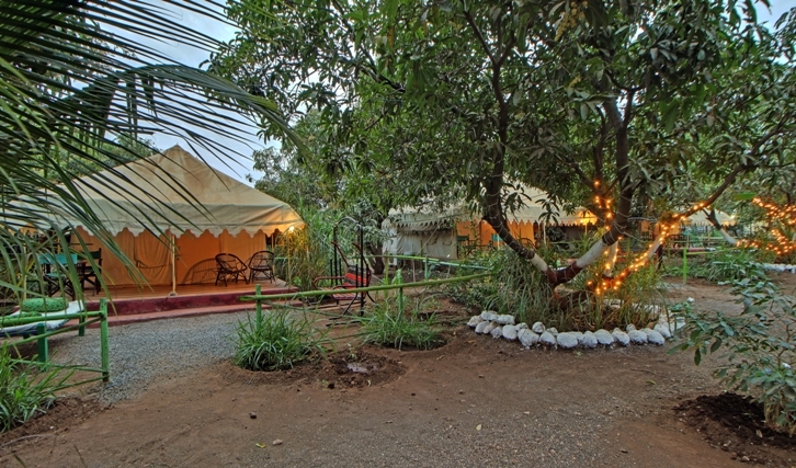 Gir-pride-resort