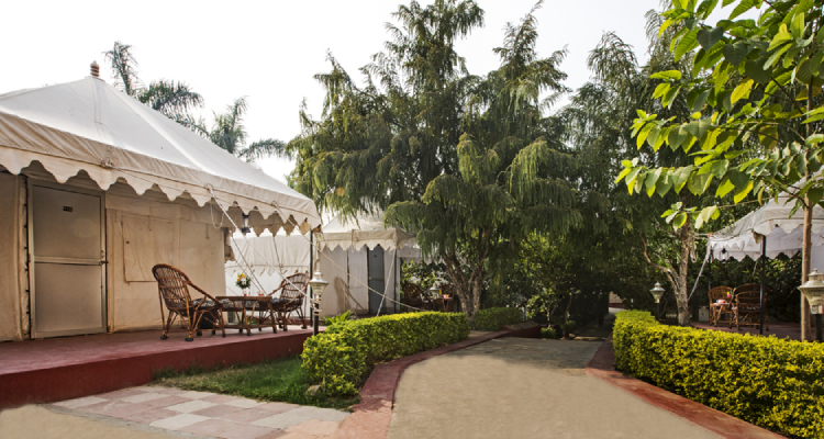 rtb-nationalresort-tent1