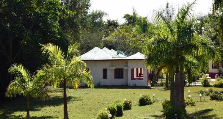 sanjaytigerresort-room4