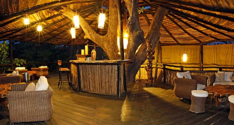 tree-house-dining1