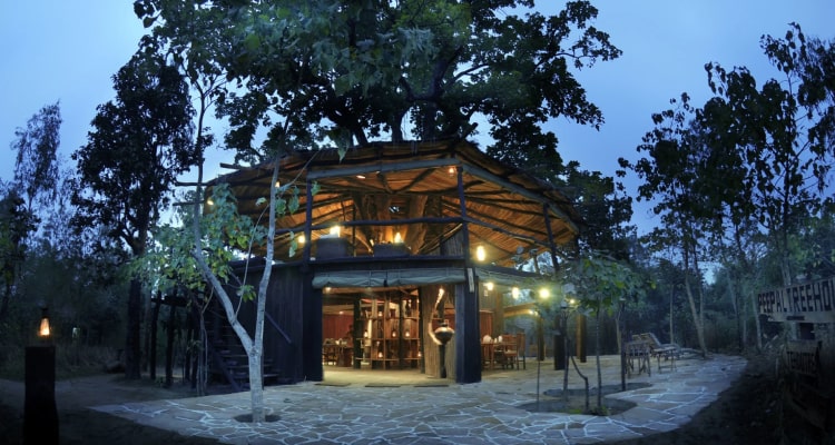 tree-house-dining3