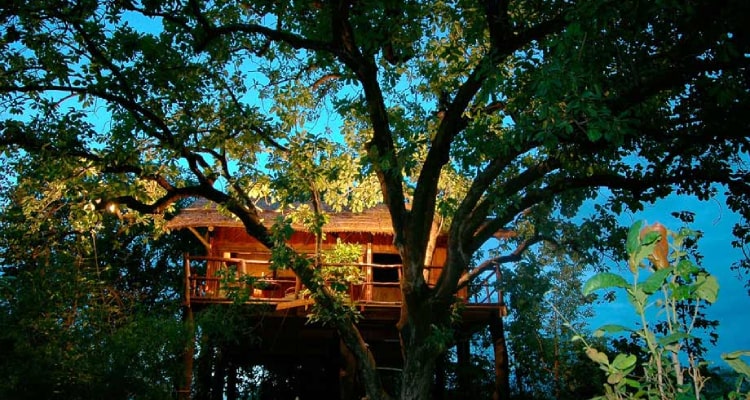 tree-house2