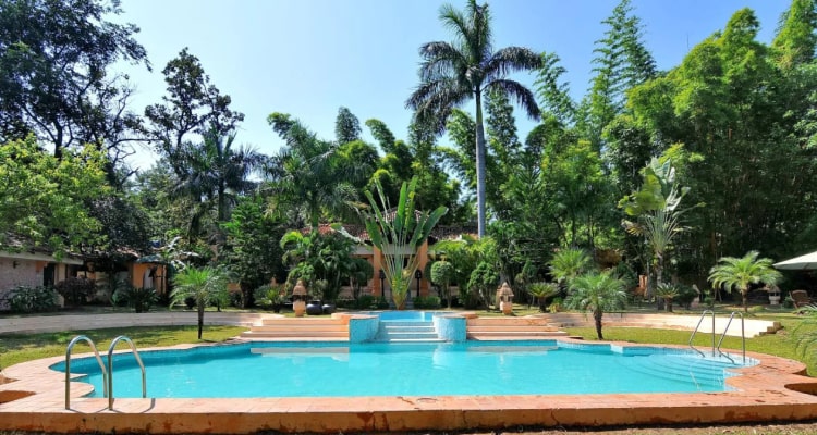 tuli-resort-swimming-pool1