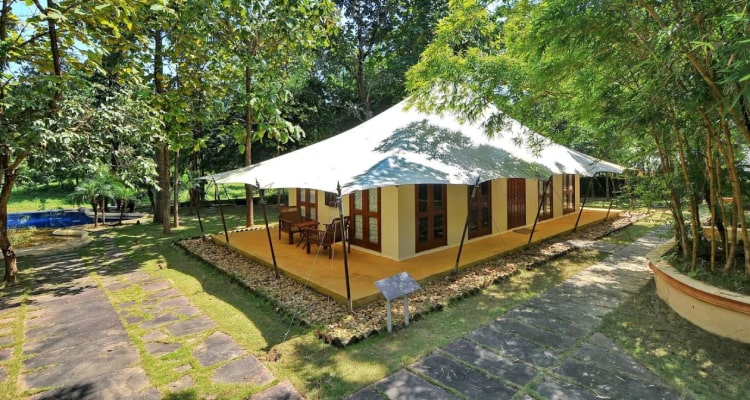 tuli-resort-tent