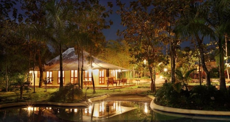 tuli-resort-tent5