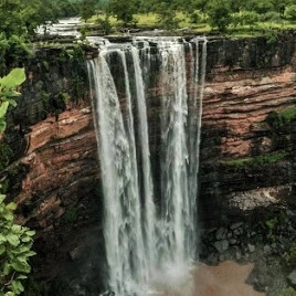 panna-national-park-icon